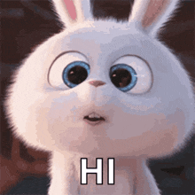 bunny gif